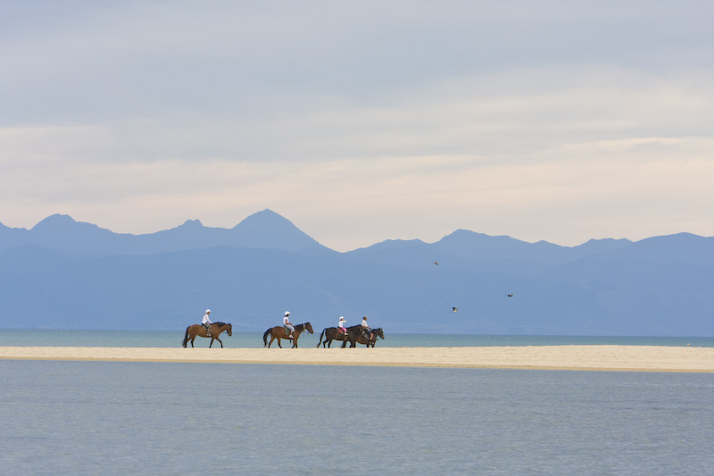 Horseback Riders On Sandbar